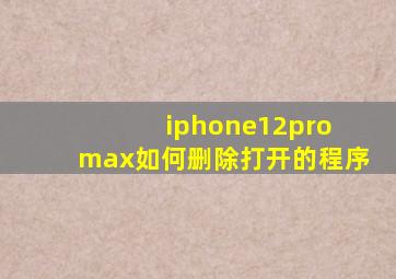 iphone12pro max如何删除打开的程序